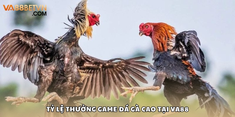 Tỷ lệ đổi thưởng với game đá chiến kê tại nhà cái rất cao